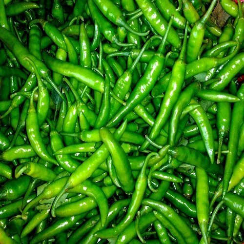 G4 Green Chilli