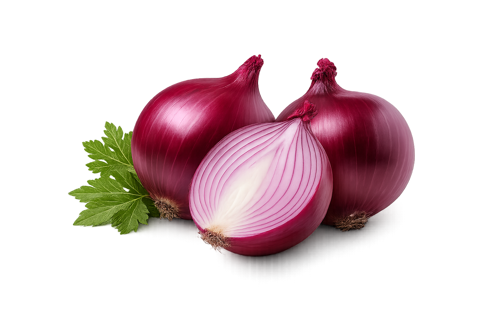 Onion Export