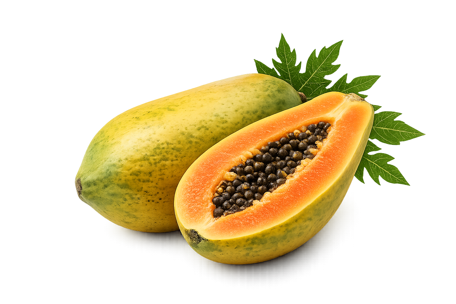 Papaya Export